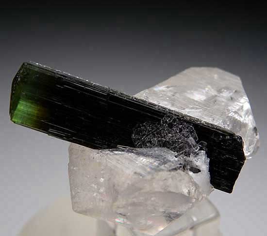 Tourmaline on Quartz from Stak Nala, Skardu District, Pakistan [db_pics/pics/a178d.jpg]
