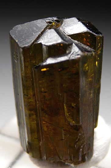 Liddicoatite over Elbaite from Luc Yen District, Yen Bai Province, Vietnam [db_pics/pics/a221a.jpg]