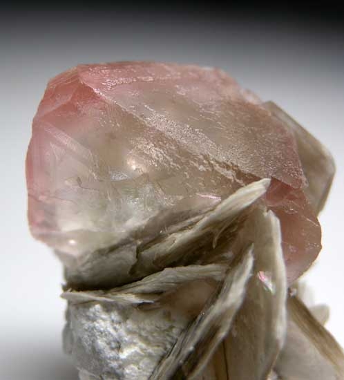 Fluorite on Muscovite from Chumar Bakhoor, Nagar, Hunza Valley, Pakistan [db_pics/pics/a240c.jpg]