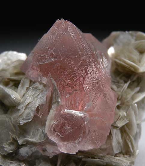 Fluorite on Muscovite from Chumar Bakhoor, Nagar, Hunza Valley, Pakistan [db_pics/pics/a243c.jpg]