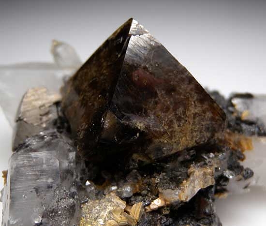 Scheelite on Ferberite, Quartz from Yaogangxian Mine, Yizhang Co., Hunan Prov., China [db_pics/pics/a253c.jpg]