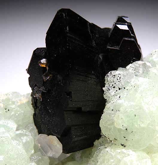 Babingtonite on Prehnite with Quartz from Meigu, Sichuan Prov., China [db_pics/pics/a255b.jpg]