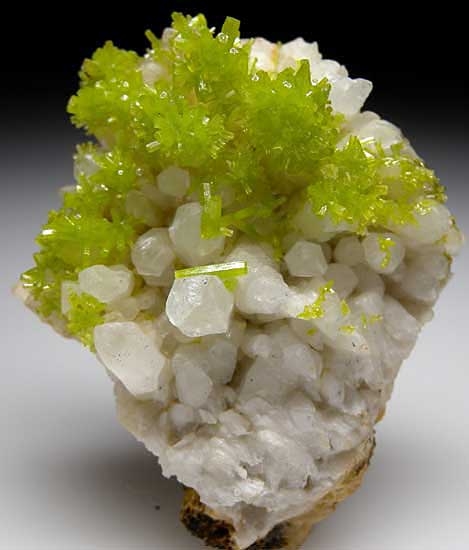 Pyromorphite on Quartz from Daoping Mine, Guangxi Prov., China [db_pics/pics/a258a.jpg]