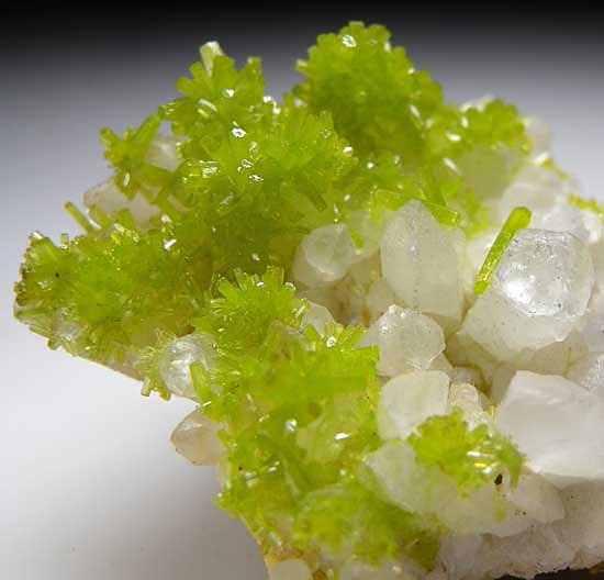 Pyromorphite on Quartz from Daoping Mine, Guangxi Prov., China [db_pics/pics/a258c.jpg]