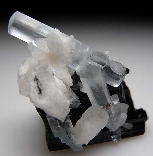 Aquamarine on Schorl from Skardu District, Pakistan [db_pics/pics/a268c.jpg]