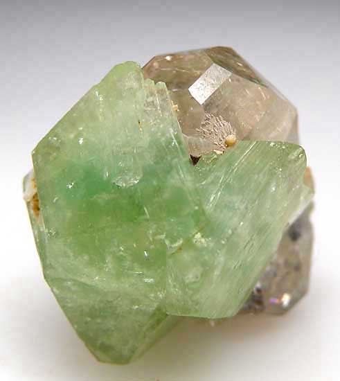 Herderite on Topaz from Dassu, Skardu Dist., Pakistan [db_pics/pics/a275d.jpg]