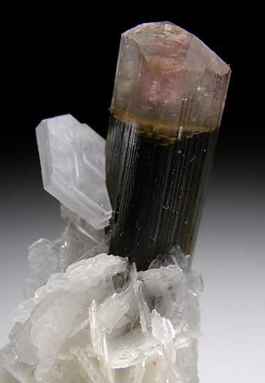 Elbaite from Stak Nala, Skardu District, Pakistan [db_pics/pics/a293c.jpg]