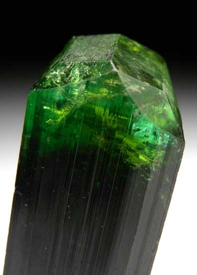 Elbaite from Pech, Nuristan, Afghanistan [db_pics/pics/a301b.jpg]
