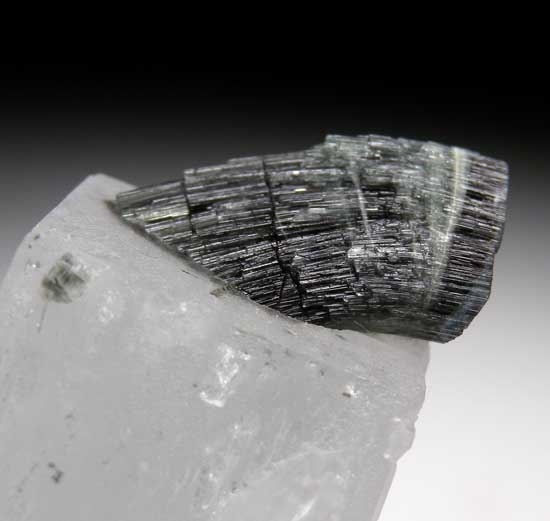 Beryl with Elbaite and Albite from Stak Nala, Skardu District, Pakistan [db_pics/pics/a323b.jpg]