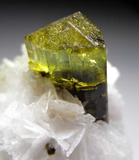 Elbaite from Stak Nala, Skardu District, Pakistan [db_pics/pics/a340c.jpg]