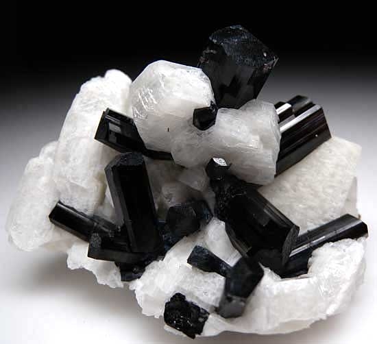 Schorl with Orthoclase from Skardu District, Pakistan [db_pics/pics/a344a.jpg]