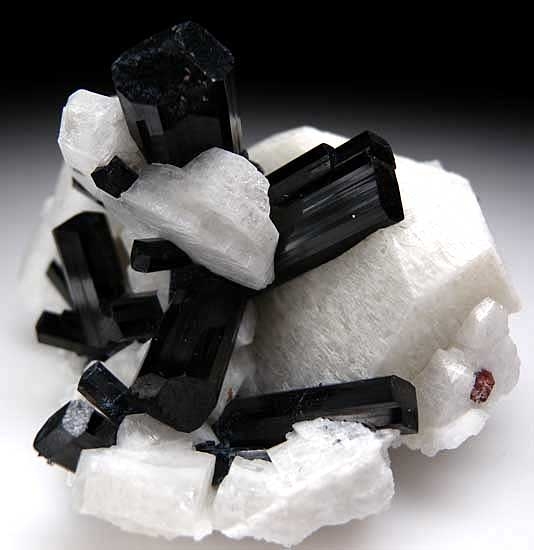 Schorl with Orthoclase from Skardu District, Pakistan [db_pics/pics/a344b.jpg]