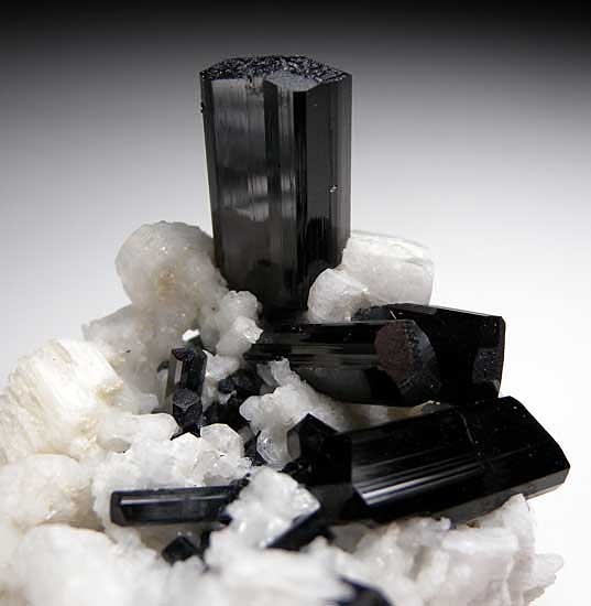 Schorl with Orthoclase from Skardu District, Pakistan [db_pics/pics/a346c.jpg]