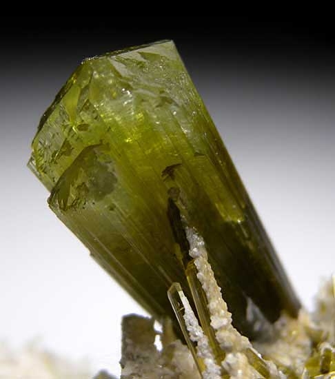 Elbaite on Quartz from Stak Nala, Skardu Dist., Pakistan [db_pics/pics/a371b.jpg]