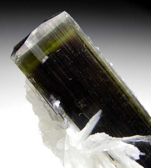 Elbaite with Clevelandite (R) from Stak Nala, Skardu Dist., Pakistan [db_pics/pics/a372d.jpg]