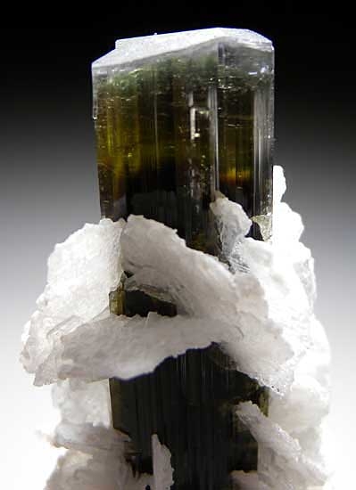 Elbaite with Clevelandite from Stak Nala, Skardu Dist., Pakistan [db_pics/pics/a374b.jpg]