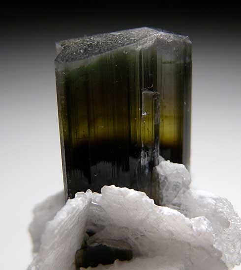 Elbaite with Clevelandite from Stak Nala, Skardu Dist., Pakistan [db_pics/pics/a374c.jpg]