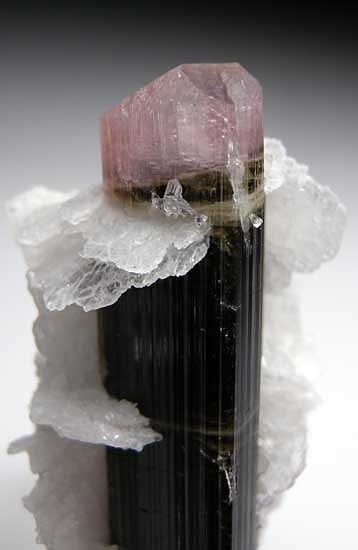 Elbaite with Clevelandite from Stak Nala, Skardu Dist., Pakistan [db_pics/pics/a375b.jpg]