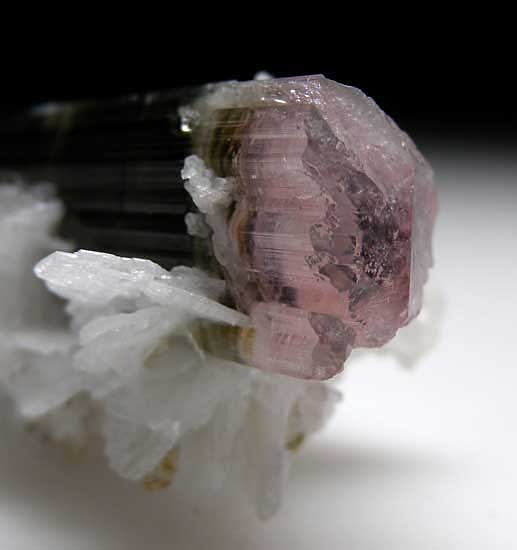Elbaite with Clevelandite from Stak Nala, Skardu Dist., Pakistan [db_pics/pics/a375c.jpg]