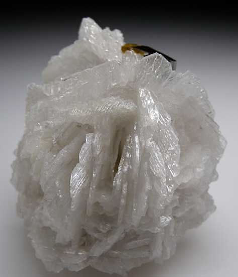 Elbaite with Clevelandite from Stak Nala, Skardu Dist., Pakistan [db_pics/pics/a378b.jpg]