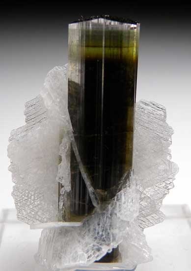Elbaite with Clevelandite from Stak Nala, Skardu Dist., Pakistan [db_pics/pics/a380a.jpg]