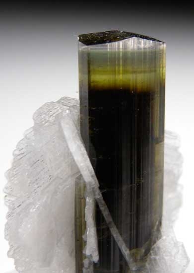 Elbaite with Clevelandite from Stak Nala, Skardu Dist., Pakistan [db_pics/pics/a380b.jpg]