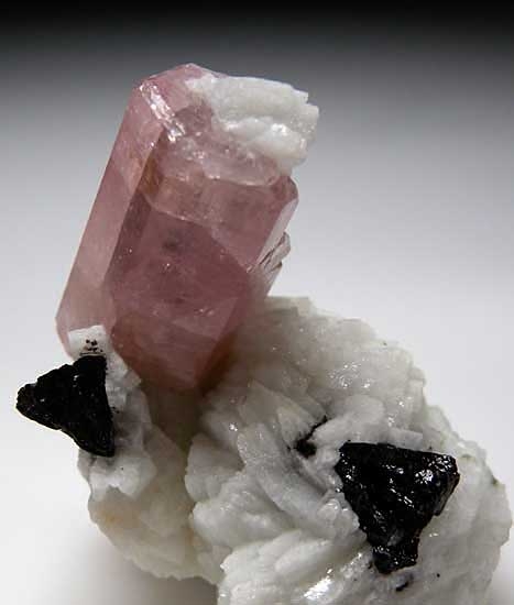 Apatite on Albite from Skardu District, Pakistan [db_pics/pics/a432b.jpg]