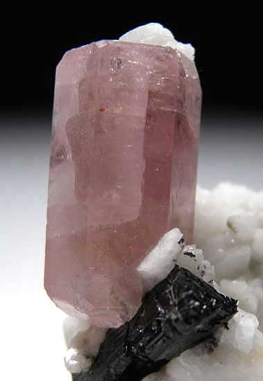 Apatite on Albite from Skardu District, Pakistan [db_pics/pics/a432c.jpg]