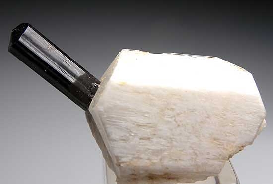 Shorl on Orthoclase from Skardu District, Pakistan [db_pics/pics/a558a.jpg]