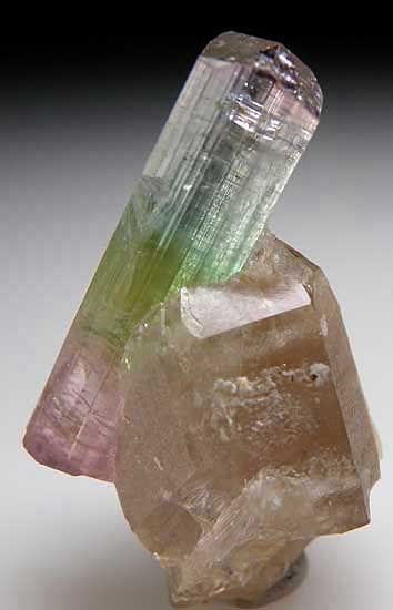 Tourmaline on Quartz from Paprok, Nuristan, Pakistan [db_pics/pics/a564a.jpg]