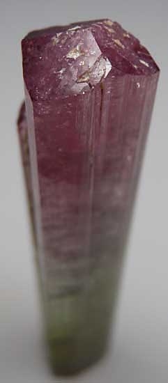 Elbaite from Paprok, Afghanistan [db_pics/pics/a592b.jpg]