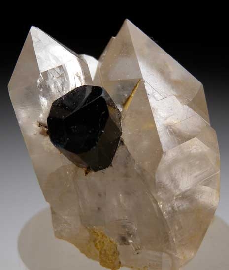 Schorl in Quartz from Skardu District, Pakistan [db_pics/pics/a594b.jpg]