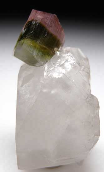 Tourmaline on Quartz from Stak Nala, Skardu Dist., Pakistan [db_pics/pics/a711a.jpg]
