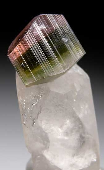 Tourmaline on Quartz from Stak Nala, Skardu Dist., Pakistan [db_pics/pics/a711c.jpg]