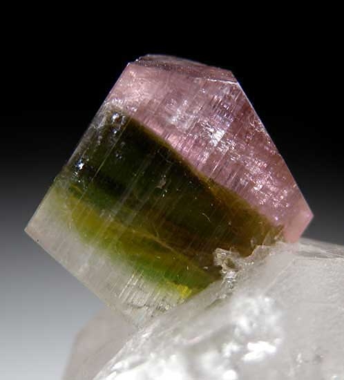 Tourmaline on Quartz from Stak Nala, Skardu Dist., Pakistan [db_pics/pics/a711d.jpg]