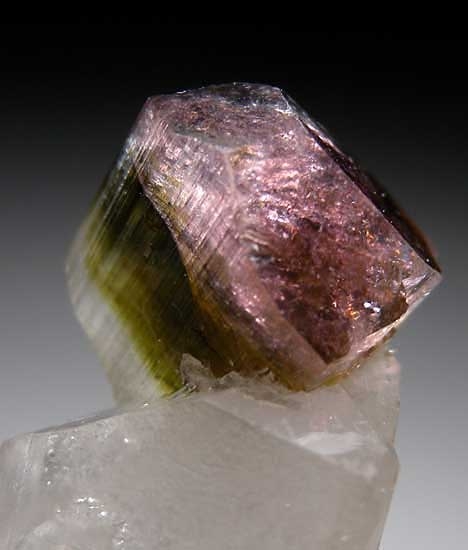 Tourmaline on Quartz from Stak Nala, Skardu Dist., Pakistan [db_pics/pics/a711e.jpg]