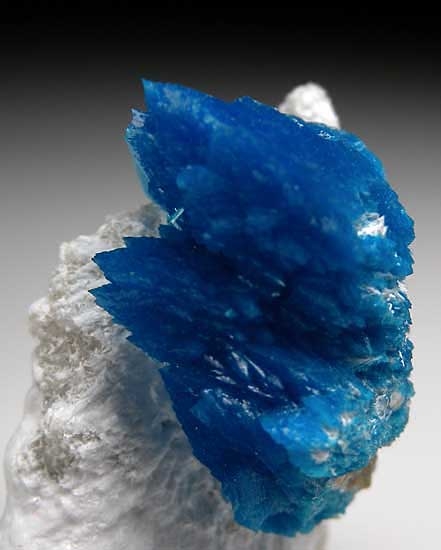 Cavansite from Wagholi Quarry, Poona, Maharashtra State, India [db_pics/pics/a726c.jpg]