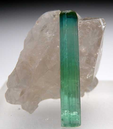 Indicolite on Quartz from Kunar Prov., Afghanistan [db_pics/pics/a830a.jpg]