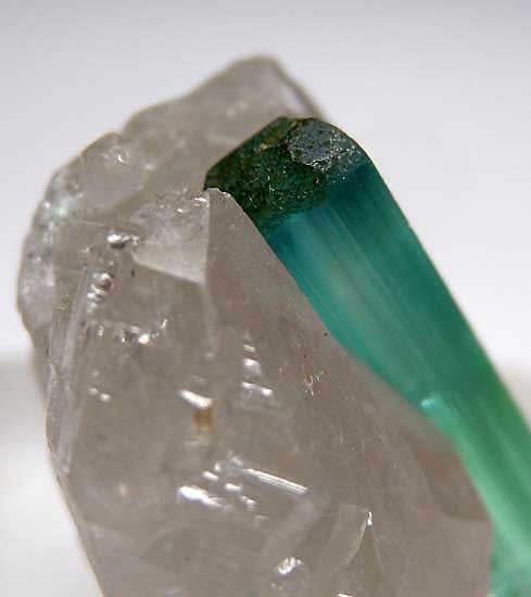 Indicolite on Quartz from Kunar Prov., Afghanistan [db_pics/pics/a830c.jpg]