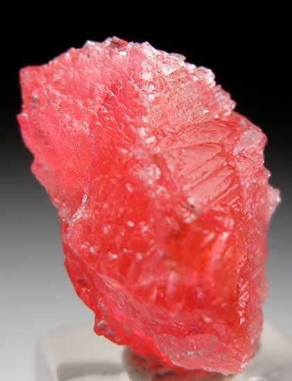 Vayrynenite from Shengus Mine, Skardu Dist., Pakistan [db_pics/pics/a862b.jpg]