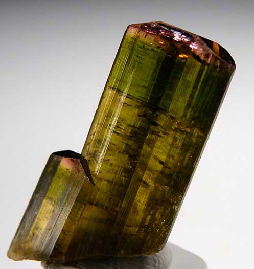 Liddicoatite from Minh Tien, Luc Yen, Yen Bai Prov., Vietnam [db_pics/pics/a869a.jpg]