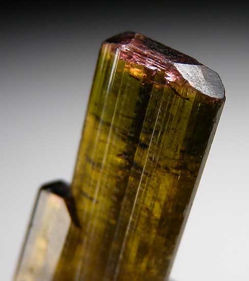 Liddicoatite from Minh Tien, Luc Yen, Yen Bai Prov., Vietnam [db_pics/pics/a869b.jpg]