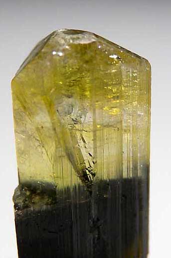 Elbaite from Stak Nala, Skardu Dist., Pakistan [db_pics/pics/a923b.jpg]