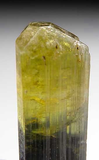 Elbaite from Stak Nala, Skardu Dist., Pakistan [db_pics/pics/a926b.jpg]
