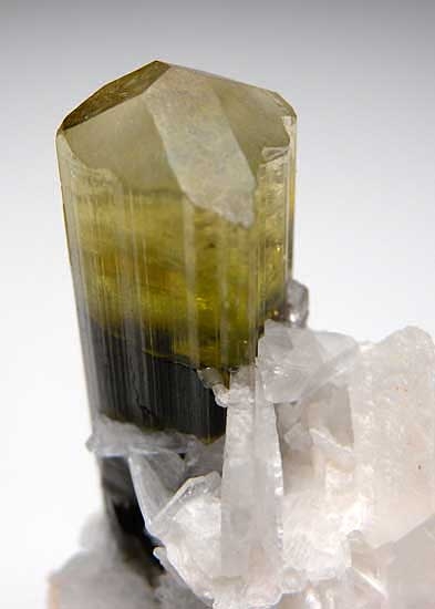 Elbaite from Stak Nala, Skardu District, Pakistan [db_pics/pics/a958b.jpg]