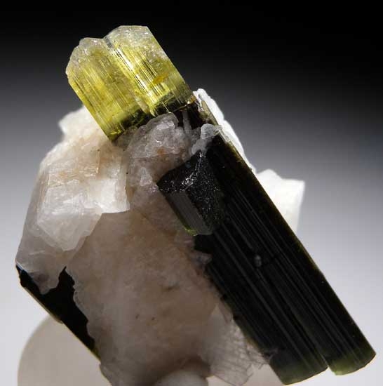 Elbaite from Stak Nala, Skardu District, Pakistan [db_pics/pics/a963c.jpg]