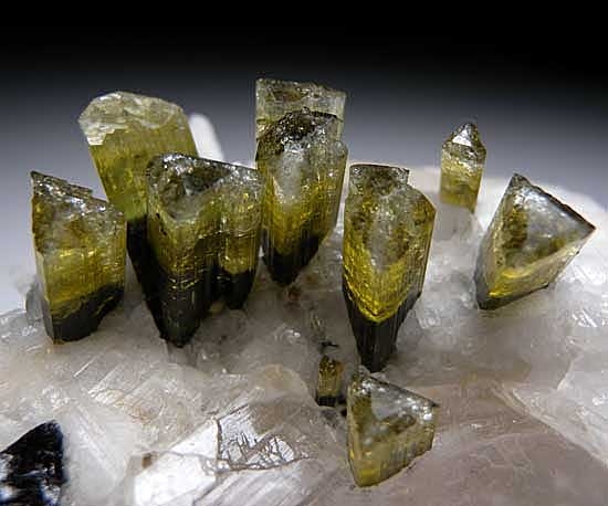 Elbaite with Quartz from Stak Nala, Skardu District, Pakistan [db_pics/pics/a964b.jpg]