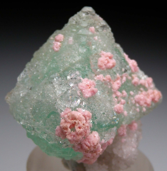 Rhodochrosite on Fluorite from Sunnyside Mine, Silverton, San Juan Co., Colorado, USA [db_pics/pics/ab103c.jpg]