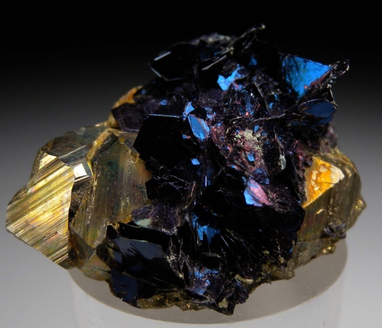 Covellite on Pyrite from Butte, Silver Bow Co., Montana, USA [db_pics/pics/ab109a.jpg]