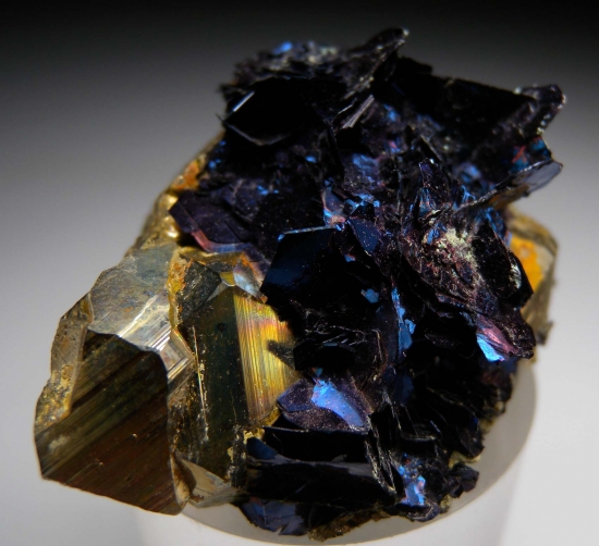 Covellite on Pyrite from Butte, Silver Bow Co., Montana, USA [db_pics/pics/ab109c.jpg]